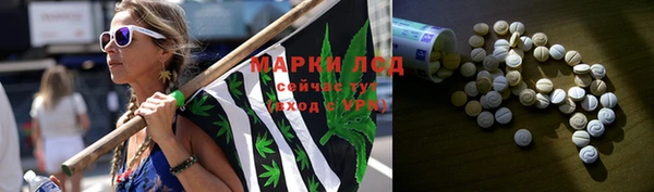 прущая мука Бородино