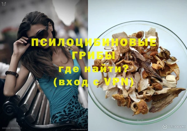 индика Володарск