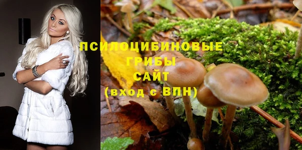 прущая мука Бородино