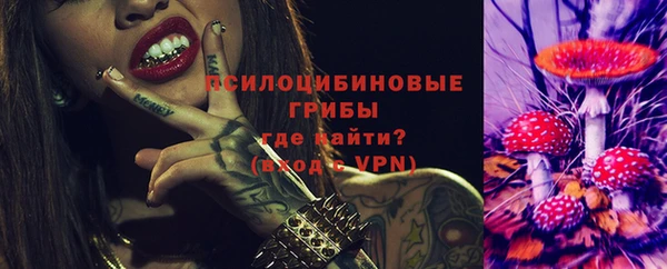 прущая мука Бородино