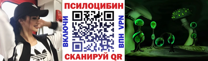 гидра вход  Кувандык  дарк нет телеграм  Псилоцибиновые грибы MAGIC MUSHROOMS 